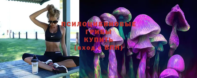 Галлюциногенные грибы MAGIC MUSHROOMS  купить  сайты  Зеленоградск 